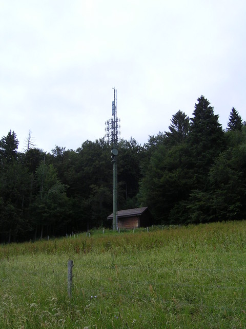 Fontannezier juin2009 003