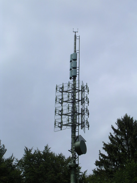 Fontannezier juin2009 005