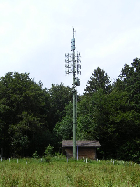 Fontannezier juin2009 006