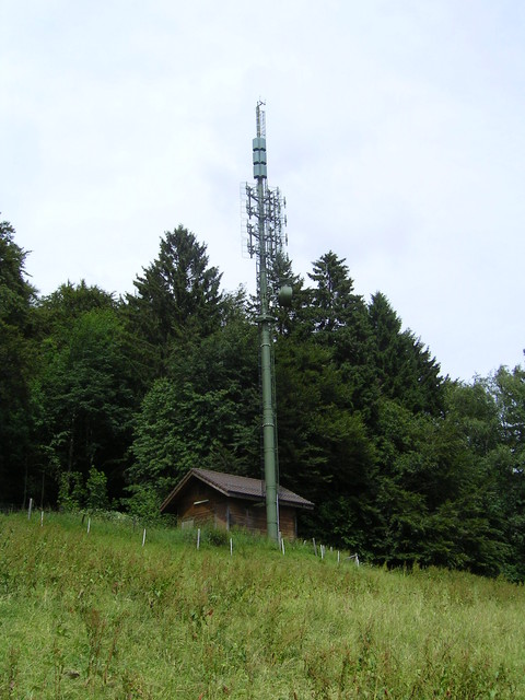 Fontannezier juin2009 007