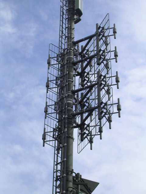 Fontannezier juin2009 009